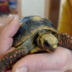 phoca_thumb_m_elva 40 Fotogalerie